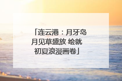 连云港：月牙岛月见草盛放 绘就初夏浪漫画卷