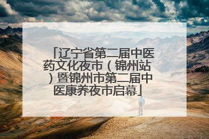 辽宁省第二届中医药文化夜市（锦州站）暨锦州市第二届中医康养夜市启幕