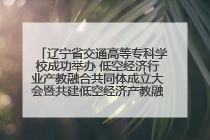辽宁省交通高等专科学校成功举办 低空经济行业产教融合共同体成立大会暨共建低空经济产教融合新生态论坛