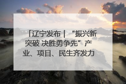 辽宁发布｜“振兴新突破 决胜勇争先”产业、项目、民生齐发力 葫芦岛按下决胜之年“加速键”