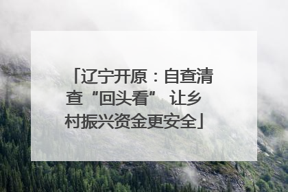 辽宁开原：自查清查“回头看” 让乡村振兴资金更安全