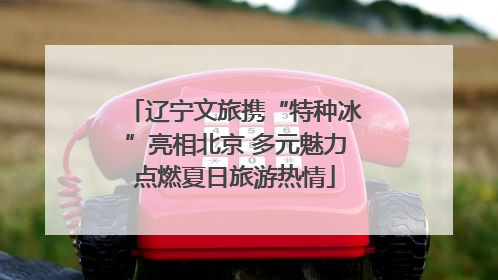 辽宁文旅携“特种冰”亮相北京 多元魅力点燃夏日旅游热情