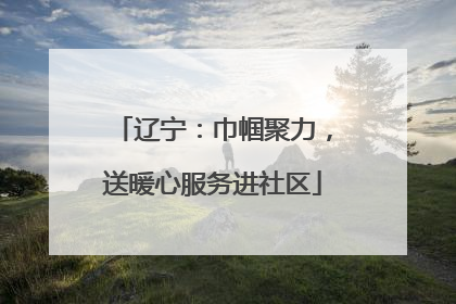 辽宁：巾帼聚力，送暖心服务进社区