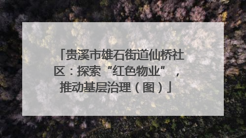 贵溪市雄石街道仙桥社区：探索“红色物业”，推动基层治理（图）