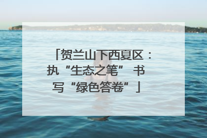 贺兰山下西夏区：执“生态之笔” 书写“绿色答卷”