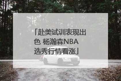 赴美试训表现出色 杨瀚森NBA选秀行情看涨