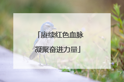 赓续红色血脉 凝聚奋进力量