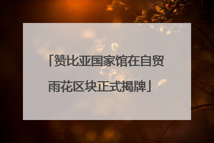 赞比亚国家馆在自贸雨花区块正式揭牌