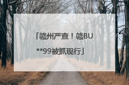 赣州严查！赣BU**99被抓现行