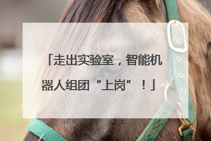 走出实验室，智能机器人组团“上岗”！