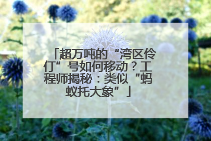 超万吨的“湾区伶仃”号如何移动？工程师揭秘：类似“蚂蚁托大象”