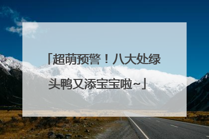 超萌预警！八大处绿头鸭又添宝宝啦~