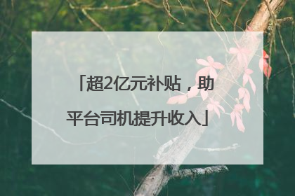 超2亿元补贴，助平台司机提升收入