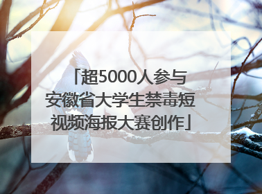 超5000人参与安徽省大学生禁毒短视频海报大赛创作