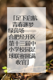 足下启航 青春逐梦绿茵场——合肥经开区第十三届中小学校园足球联赛圆满收官