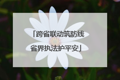 跨省联动筑防线 省界执法护平安