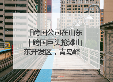 跨国公司在山东｜跨国巨头抢滩山东开发区，青岛峰会拉开帷幕