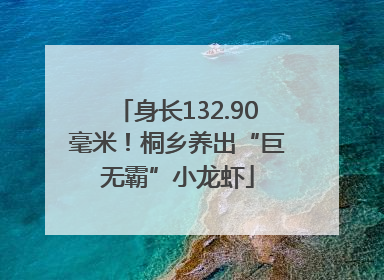 身长132.90毫米！桐乡养出“巨无霸”小龙虾
