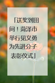 送奖到田间！菏泽市举行见义勇为先进分子表彰仪式