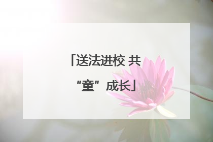 送法进校 共“童”成长