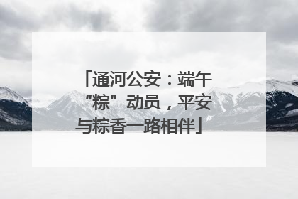 通河公安：端午“粽”动员，平安与粽香一路相伴