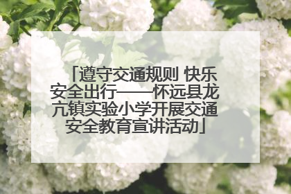 遵守交通规则 快乐安全出行——怀远县龙亢镇实验小学开展交通安全教育宣讲活动