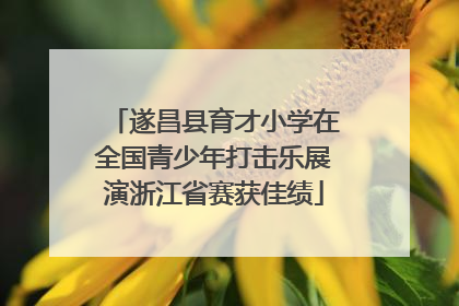 遂昌县育才小学在全国青少年打击乐展演浙江省赛获佳绩