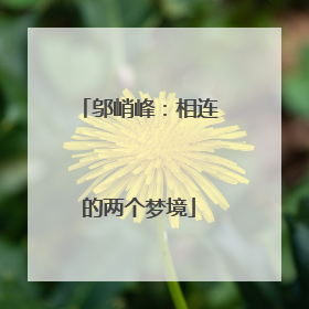 邬峭峰：相连的两个梦境