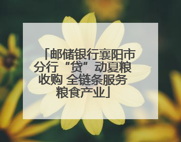 邮储银行襄阳市分行“贷”动夏粮收购 全链条服务粮食产业