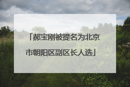 郝宝刚被提名为北京市朝阳区副区长人选