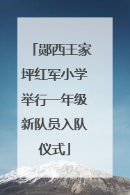 郧西王家坪红军小学举行一年级新队员入队仪式
