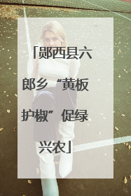 郧西县六郎乡“黄板护椒”促绿兴农