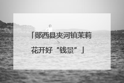 郧西县夹河镇茉莉花开好“钱景”
