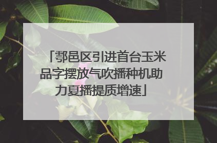 鄠邑区引进首台玉米品字摆放气吹播种机助力夏播提质增速
