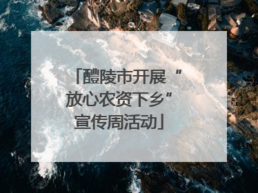 醴陵市开展“放心农资下乡”宣传周活动