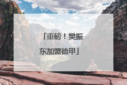 重磅！樊振东加盟德甲