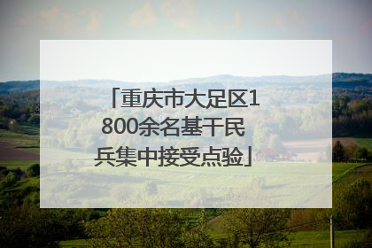 重庆市大足区1800余名基干民兵集中接受点验