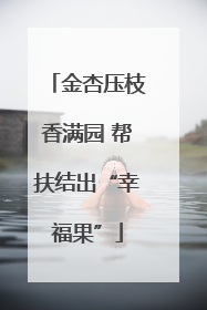 金杏压枝香满园 帮扶结出“幸福果”