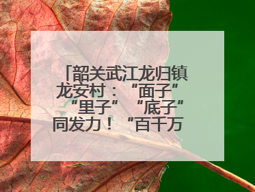 韶关武江龙归镇龙安村：“面子”“里子”“底子”同发力！“百千万工程”激活乡村新动能