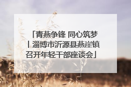 青燕争锋 同心筑梦丨淄博市沂源县燕崖镇召开年轻干部座谈会