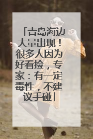 青岛海边大量出现！很多人因为好看捡，专家：有一定毒性，不建议手碰