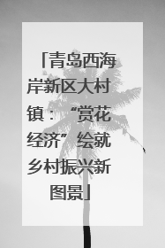 青岛西海岸新区大村镇：“赏花经济”绘就乡村振兴新图景