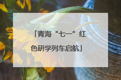 青海“七一”红色研学列车启航