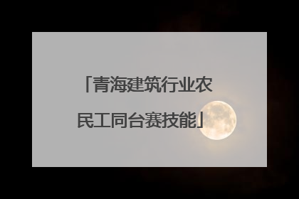 青海建筑行业农民工同台赛技能