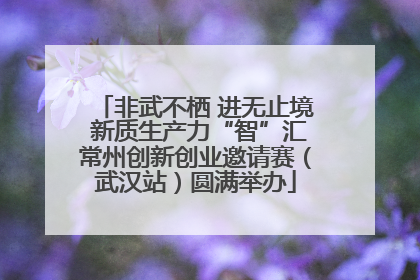 非武不栖 进无止境 新质生产力“智”汇常州创新创业邀请赛（武汉站）圆满举办