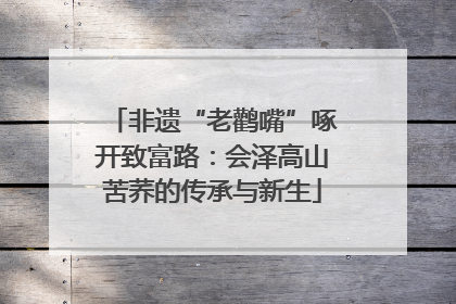 非遗“老鹳嘴”啄开致富路：会泽高山苦荞的传承与新生