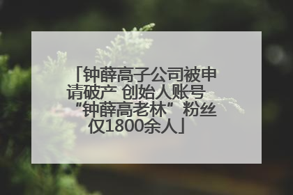 钟薛高子公司被申请破产 创始人账号“钟薛高老林”粉丝仅1800余人
