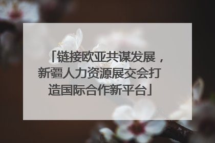 链接欧亚共谋发展，新疆人力资源展交会打造国际合作新平台
