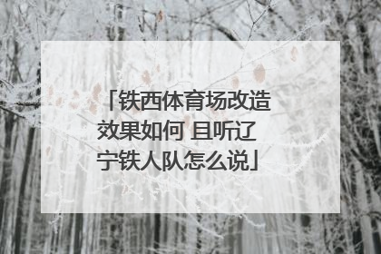 铁西体育场改造效果如何 且听辽宁铁人队怎么说