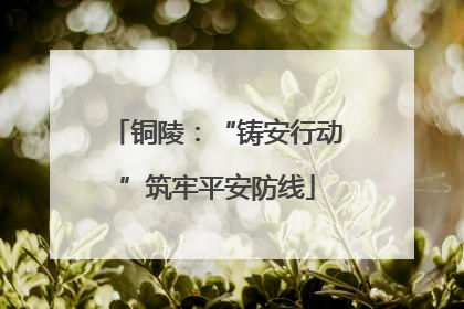 铜陵：“铸安行动”筑牢平安防线